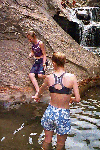 lookSnake!.gif (64478 bytes)