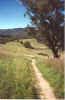 11sixFootTrack.jpg (15314 bytes)