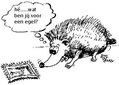 egeltje.jpg (26916 bytes)