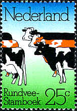 koetjes.jpg (134471 bytes)