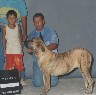 Melhor do Ranking 2001