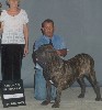 BISS da Exposi��o de n� 71