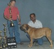 3� Melhor Ranking 2001