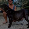 Endira do Solar da Am�rica