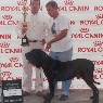 Fargos do Solar da Am�rica