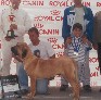 Nicolau do Urub�