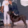 Melhor da Exposi��o75