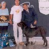 Melhor das Exposi��es 75 e 76
