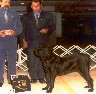 Emile do Solar da Am�rica