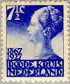 wpe20.gif (11690 bytes)