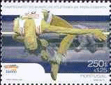 wpe1AD.gif (16151 bytes)