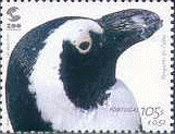 wpe224.gif (17165 bytes)