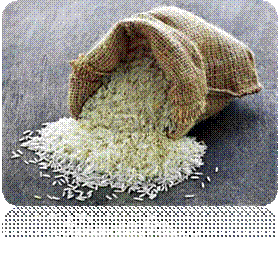 basmati-rice.jpg