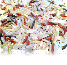 800px-White,_Brown,_Red_&_Wild_rice.jpg