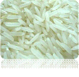 rice1.jpg
