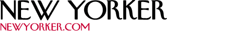 New Yorker