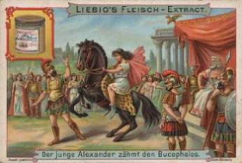 [Alexander z�hmt den Bukef�las]