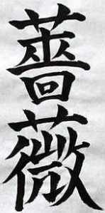 [korrekte Schreibweise mit 33 Strichen]