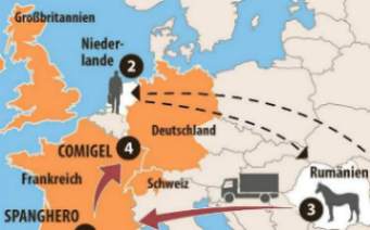 [Das Ende der rum�nischen Pferde 2013]