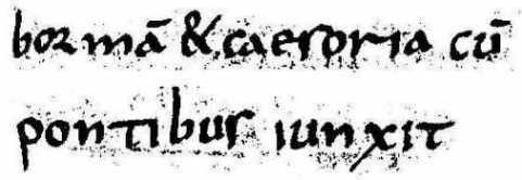 [der ominöse Satz aus dem Codex Bambergensis]