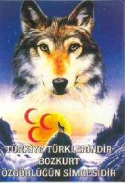 [Bozkurt - Grauwolf]