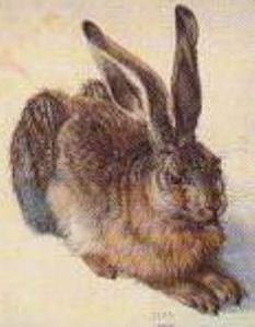 [D�rer, deutscher Hase]