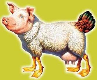 [Eier legende Woll-Milch-Sau]