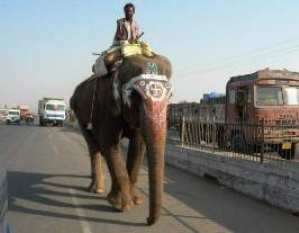 [Elefant mit Swastik]