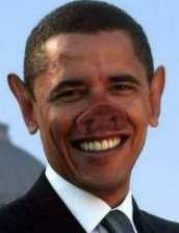 [... und umgekehrt - Obama im Pferdestall]