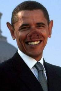 [Der Pr�sident der Vereiniggerten Staaten von Amerika]