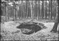 Im Wald 
bei Targowisko