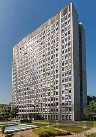 [Das Tulpenfeld in Bonn am Rhein]