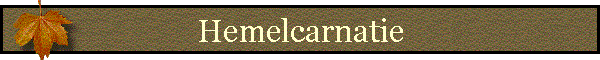 Hemelcarnatie