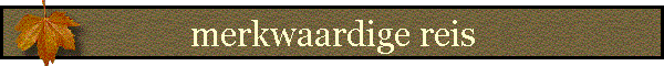 merkwaardige reis