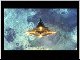 FF8