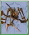 FF8 Monster 211
