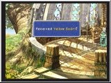 FF9