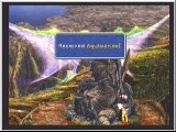 FF9