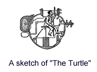 [The Turtle]