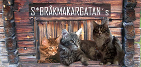 S* Brakmakargatans