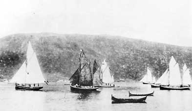 01pokal2.jpg (13267 bytes)