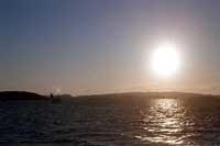 fisk4.jpg (5226 bytes)