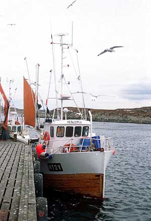 fisk5.jpg (25136 bytes)