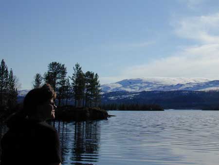 hemn2b.JPG (20128 bytes)