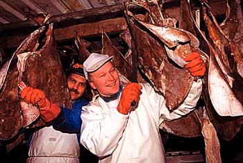 skata.jpg (32366 bytes)