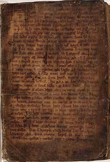 skinnbok.jpg (38366 bytes)