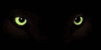 cat's eyes