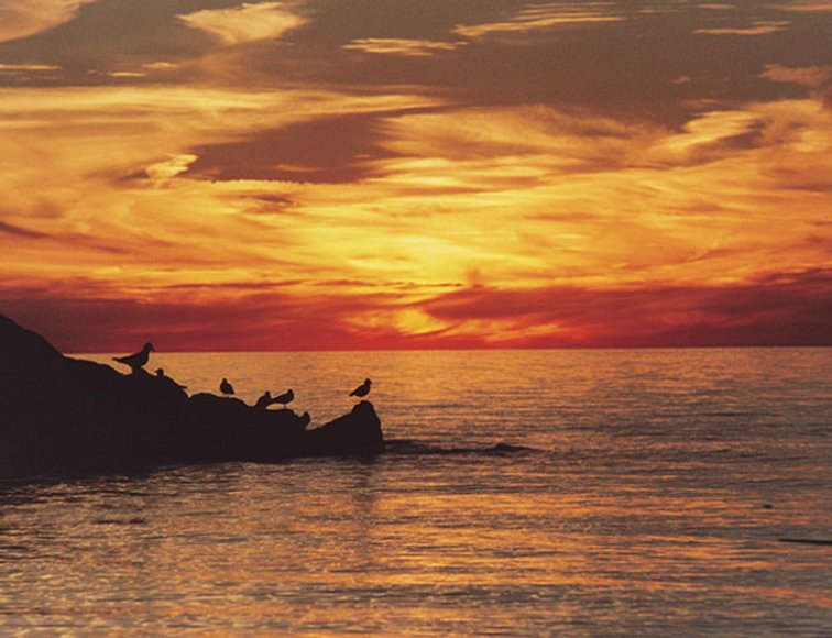 sunset
