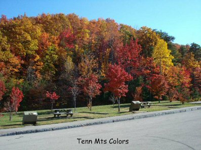 autumn