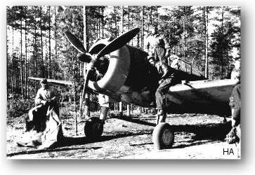 Curtiss Hawk 75A-1 at Nurmoila